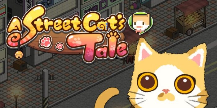 A Street Cat's Tale