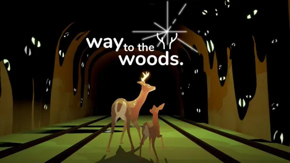 Way to the Woods