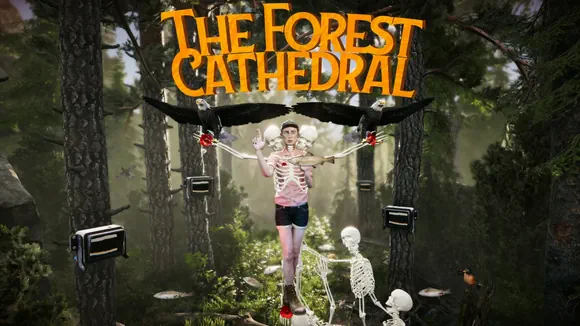 The Forest Cathedral