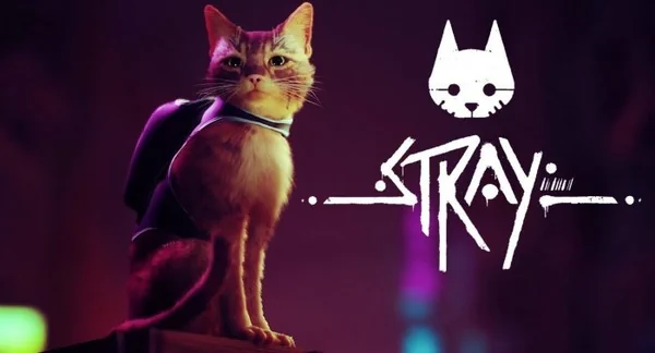 Stray