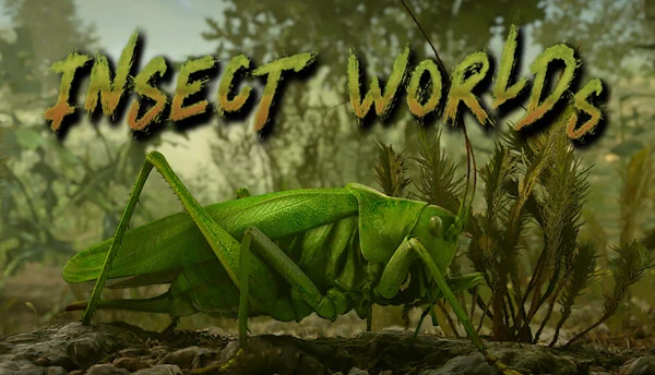 Insect Worlds