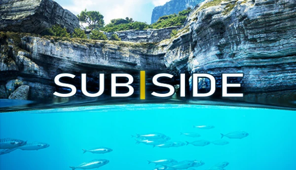 Subside